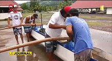 Le team Rangiroa à l’assaut de du marathon Va’a Polynésie 1ère