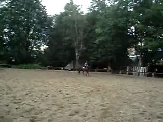 Au trot dans la carrière