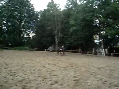 Au trot dans la carrière