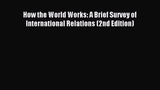 Read How the World Works: A Brief Survey of International Relations (2nd Edition) Ebook Online
