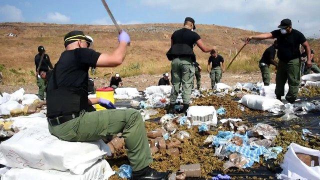 Polícia panamenha incinera toneladas de drogas