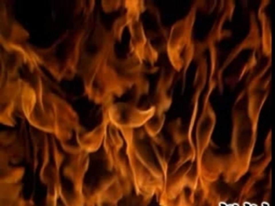 Freeparty-Rave-Teuf-Tolerance 0