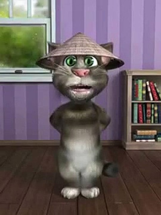 funny tom cat talking video
