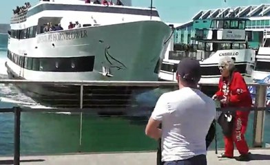Whale Watching Boat Crashes Into Dock