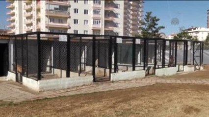 Jandarmanın "Kahraman" Köpekleri Suçlulara Göz Açtırmıyor