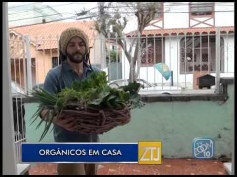 31-08-2015 - ORGÂNICOS EM CASA - ZOOM TV JORNAL