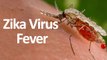 Zika Virus Fever Symptoms, Diagnosis & Treatment HS