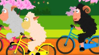 Baa Baa Black Sheep | Nursery Rhyme From Kids TV