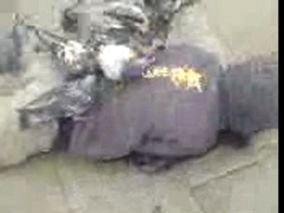 Venise , Place St. Marc: les pigeons mangent sur mon dos.