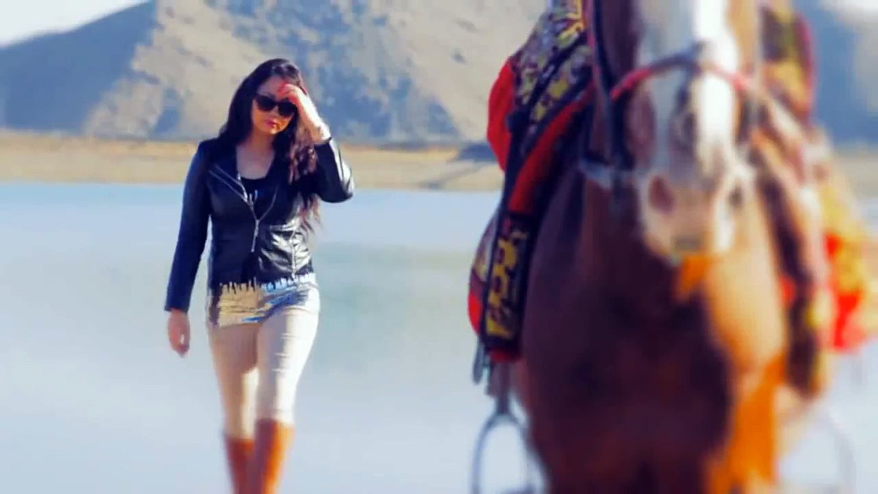 Laila Bargi – Dilam Tang Ast New Afghan Song 2015