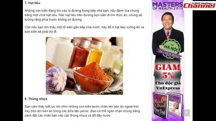 200. 12 cách diệt kiến đơn giản    Removal is a simple 12    5 loại cây xanh đuổi muỗi NEW -Youtube