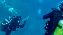 mares Test Diving Rapallo