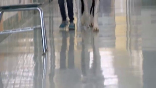 Cette petite fille handicapée et son chien forment le plus beau des couples. Magique