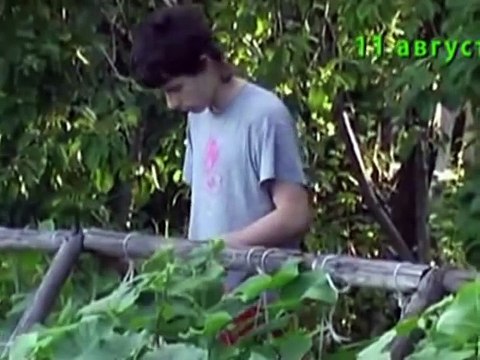 Тыква, кабачки, огурцы, лук, морковь, свекла, чеснок