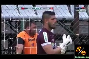 Quand un chien s'incruste sur un terrain de foot au Brésil