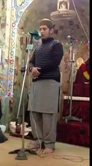 Pir Syed Naseer Ud Din Naseer Gilani (R.A) Kalam By Hamza Khan Naat Khawan