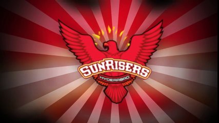 Ipl 2016- Sunrisers Hyderabad Team, Player List 2016_HIGH