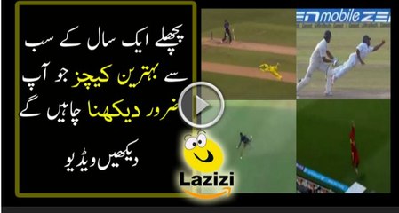 A Year of Incredible Catches