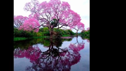 Lena Biolcati   QUANDO VERRANNO A CERCARE