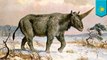 Did unicorns walk the earth alongside humans?