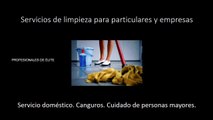 Empresa de limpieza Mallorca Servicio doméstico Empleada hogar Mujer de limpieza Barata económica