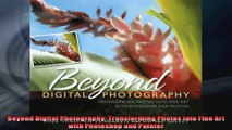 Beyond Digital Photography Transforming Photos into Fine Art with Photoshop and Painter