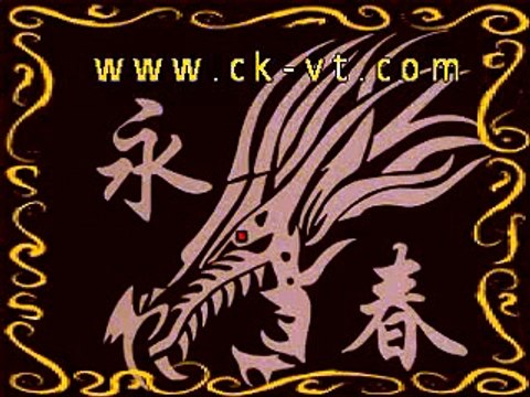 Shaolin weng chun Wooden Dummy 木人樁 (35) 鄭光永春拳Cheng Kwong Ving tsun