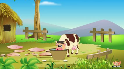 Animal Facts in Hindi - Cow