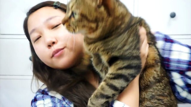 winter makeup/red eyes&lip/冬メイク/赤メイク/赤リップ