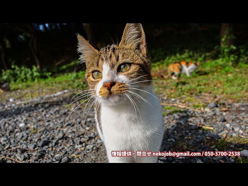 デリヘル代は稼げるか？