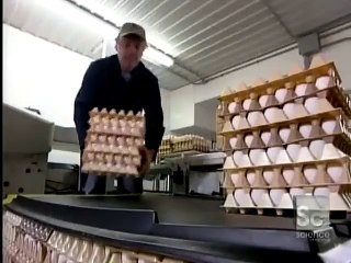 Eggs How It is Made from machine