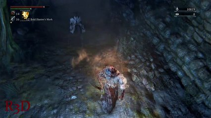 Bloodborne - Byrgenwerth Hunter Fight {Full 1080p HD, 60 FPS}