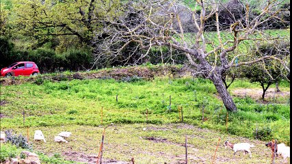 Ph Rossella De Sio Compleanno Ciro