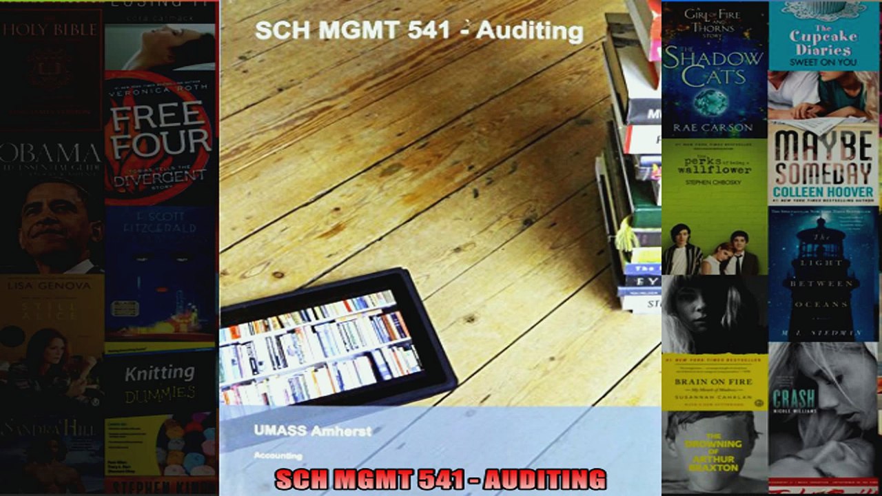 Read  SCH MGMT 541  AUDITING Full EBook Online Free