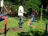 entrainement agility