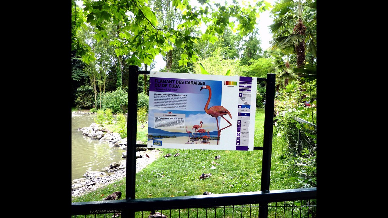 ©HDZOOdeBEAUVAL06-2015n1 photophotopeintureANCIAUX MARTINECréatricePhotoPeintureMondeTvWebNature©
