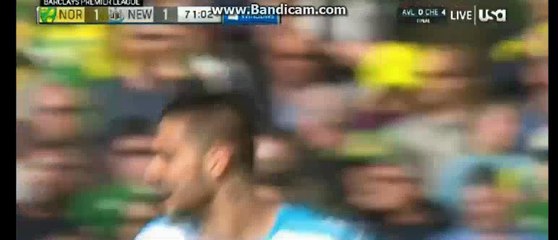 Aleksandar Mitrovic 1-1 HD - Norwich 1-1 Newcastle 02-04-2016