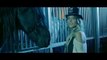 Akcent feat. Sandra N - Amor Gitana (Official Music Video)-Hit-Songs