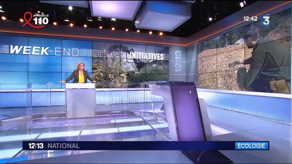 Les multiples bienfaits du recyclage du buis