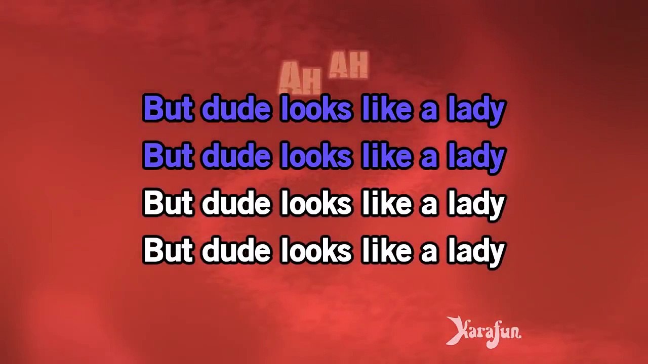 Karaoke Dude (Looks Like A Lady) - Aerosmith *