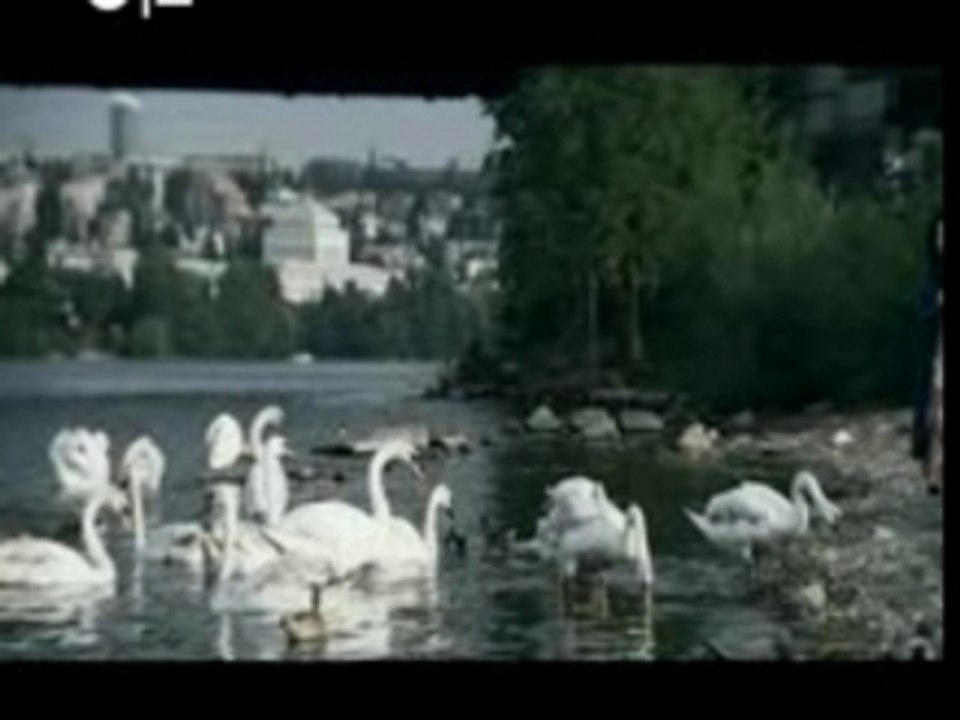 Editors - Smokers Outside The Hospital Doors Powered By AWM