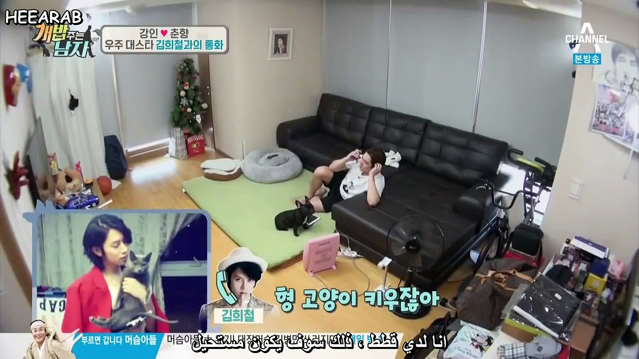 kangin and heechul_arc