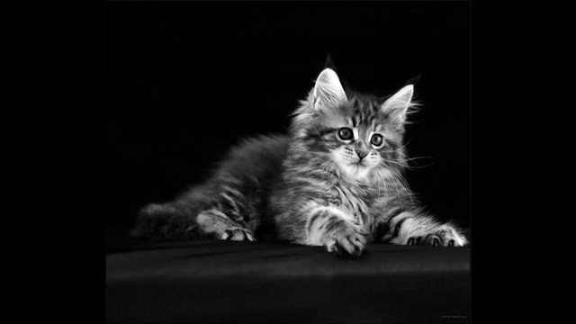 서면] 부산출장안마 010-2151-7309 부산전지역가능