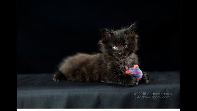 부산출장마사지 OIO-2151-73O9 부산출장안마 전지역 가능