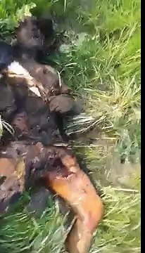 Азербайджан сражен вертолет, 2 апреля, +2016 04.02.2016