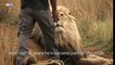 Amazing Bond of Lion and Lioness with Human