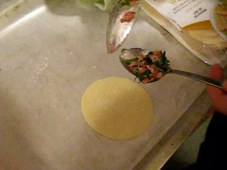 How to Fold Chinese Wontons