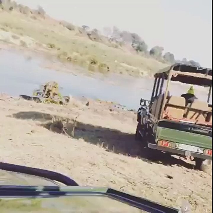 mehwish Hayat Beautiful | Mehwish hayat video 2016 | Mehwish hayat looking lions | Looking Beautiful