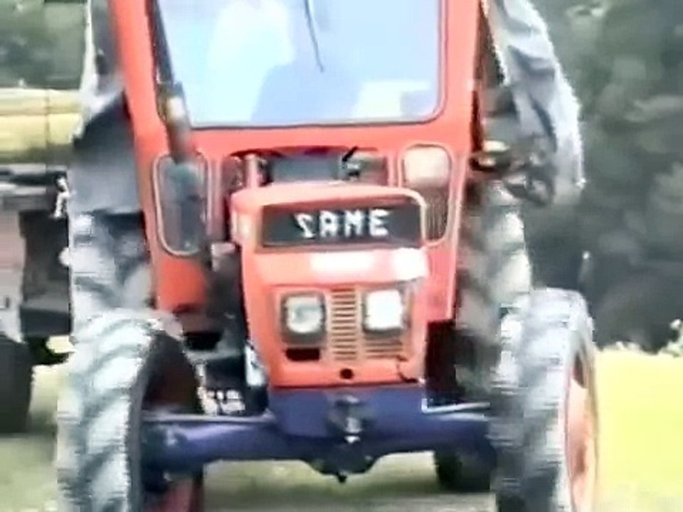 CITTAREALE: IERI, OGGI, DOMANI. 199O, Attività della Pro-Loco: