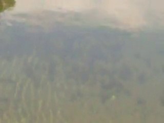 PODGORECKO EZERO.....